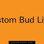 Custom Bud Light font Dafontinfo.com