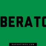 Liberator Font Dafontinfo.com