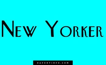 New Yorker Font Dafontinfo.com